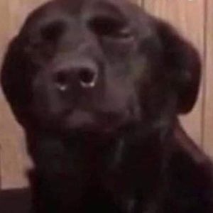 Meet your Posher, Ana